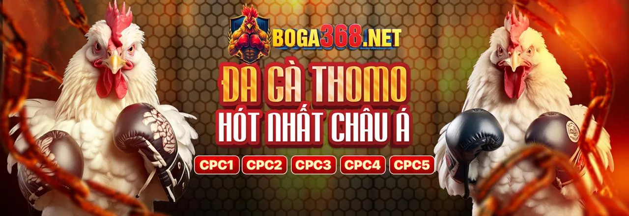 Chính sách Cookie của HM88 Chính Thức – Bảo mật và quyền riêng tư dữ liệu